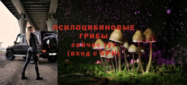 PSILOCYBIN Верея